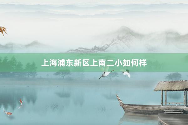 上海浦东新区上南二小如何样
