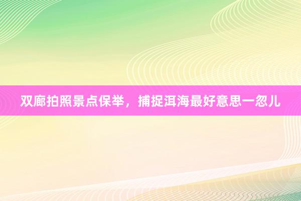 双廊拍照景点保举，捕捉洱海最好意思一忽儿